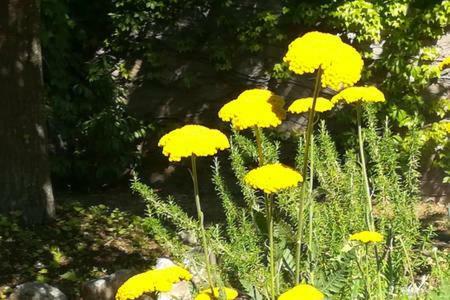 B&B Villaggio Sole Sulmona Bagian luar foto